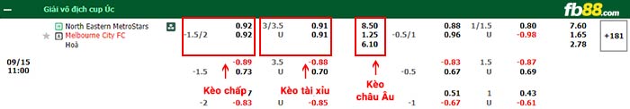 fb88-bảng kèo trận đấu North Eastern Metrostars vs Melbourne City