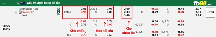 fb88-bảng kèo trận đấu Brisbane Roar vs Sydney