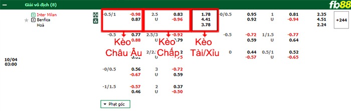 Fb88 bảng kèo trận đấu Inter Milan vs Benfica