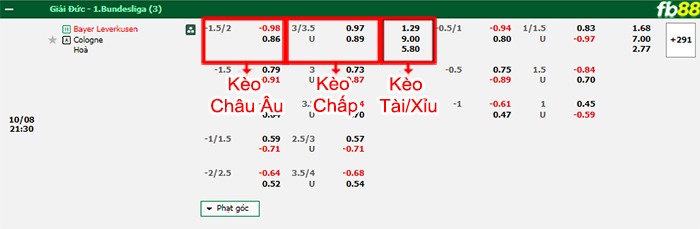 Fb88 bảng kèo trận đấu Leverkusen vs Koln