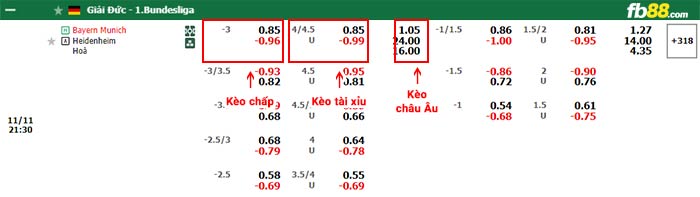 fb88-bảng kèo trận đấu Bayern Munich vs Heidenheim