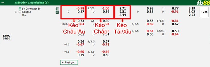 Fb88 bảng kèo trận đấu Darmstadt vs Koln