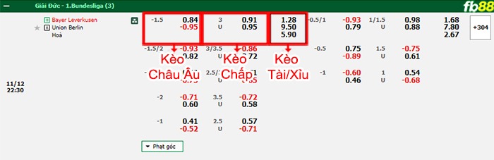 Fb88 bảng kèo trận đấu Leverkusen vs Union Berlin