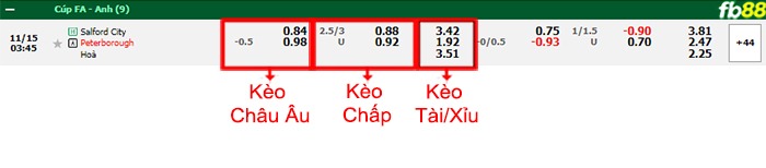 Fb88 bảng kèo trận đấu Salford City vs Peterborough