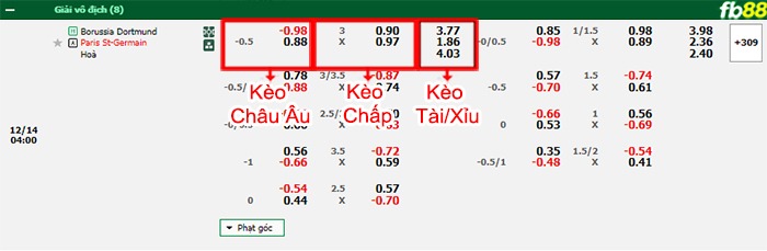Fb88 bảng kèo trận đấu Dortmund vs PSG