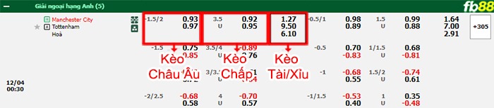 Fb88 bảng kèo trận đấu Man City vs Tottenham