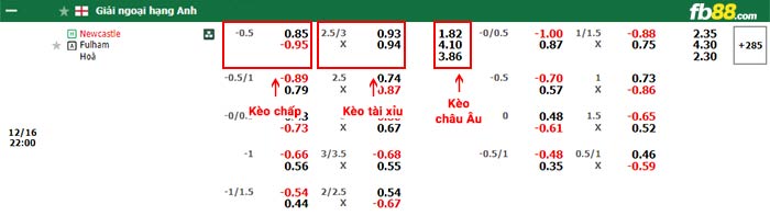 fb88-bảng kèo trận đấu Newcastle vs Fulham