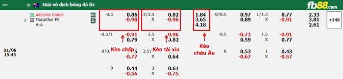 fb88-bảng kèo trận đấu Adelaide United vs Macarthur