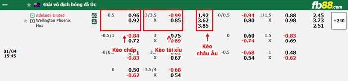 fb88-bảng kèo trận đấu Adelaide vs Wellington Phoenix