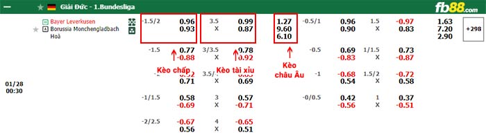 fb88-bảng kèo trận đấu Bayer Leverkusen vs Monchengladbach