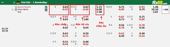 fb88-bảng kèo trận đấu Bayern Munich vs Union Berlin