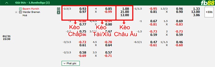 Fb88 bảng kèo trận đấu Bayern Munich vs Werder Bremen