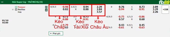 Fb88 bảng kèo trận đấu Rizespor vs Besiktas
