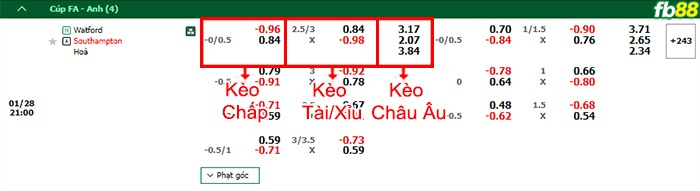 Fb88 bảng kèo trận đấu Watford vs Southampton