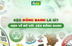 kèo đồng banh là gì