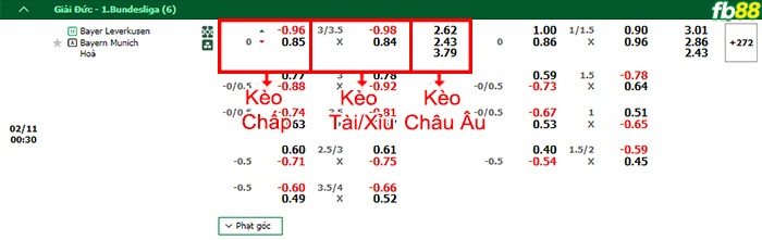 Fb88 bảng kèo trận đấu Bayer Leverkusen vs Bayern Munich