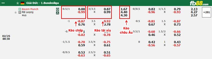 fb88-bảng kèo trận đấu Bayern Munich vs Leipzig