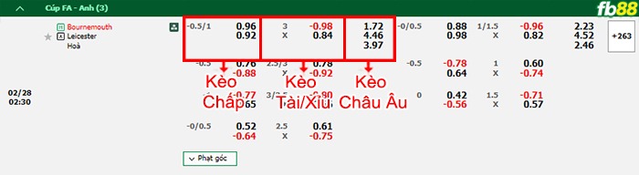 Fb88 bảng kèo trận đấu Bournemouth vs Leicester City