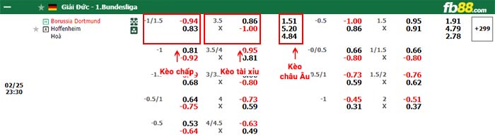 fb88-bảng kèo trận đấu Dortmund vs Hoffenheim