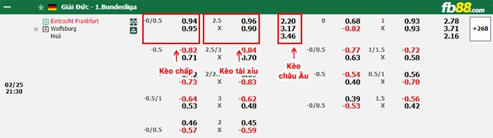 fb88-bảng kèo trận đấu Eintracht Frankfurt vs Wolfsburg