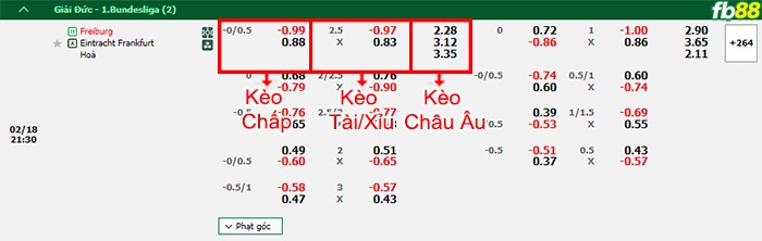 Fb88 bảng kèo trận đấu Freiburg vs Eintracht Frankfurt