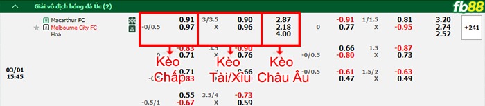 Fb88 bảng kèo trận đấu Macarthur FC vs Melbourne City