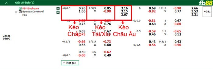 Fb88 bảng kèo trận đấu PSV vs Dortmund