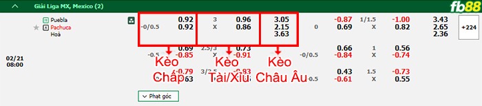 Fb88 bảng kèo trận đấu Puebla vs Pachuca