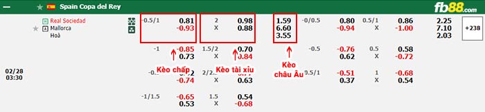 fb88-bảng kèo trận đấu Real Sociedad vs Mallorca