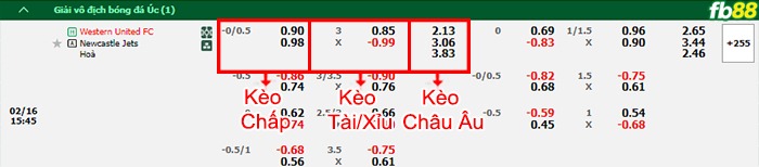 Fb88 bảng kèo trận đấu Western United vs Newcastle Jets
