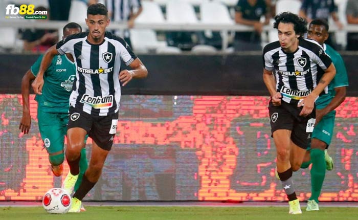 fb88-bảng kèo trận đấu Boavista RJ vs Botafogo