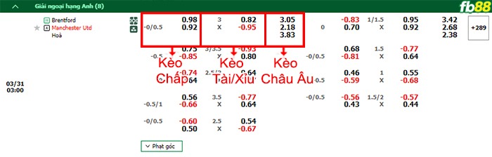Fb88 bảng kèo trận đấu Brentford vs Man Utd