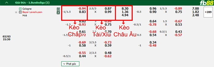 Fb88 bảng kèo trận đấu Koln vs Leverkusen