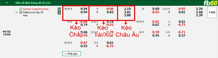 Fb88 bảng kèo trận đấu Central Coast vs Melbourne City