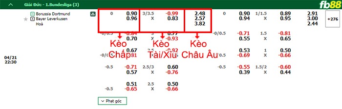 Fb88 bảng kèo trận đấu Dortmund vs Leverkusen