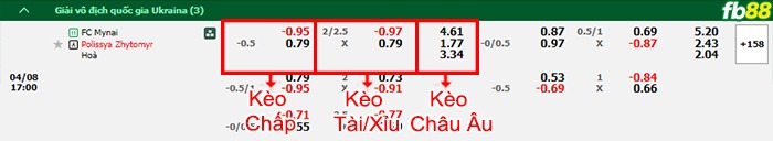 Fb88 bảng kèo trận đấu FC Mynai vs Polissya Zhytomyr