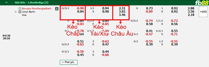 Fb88 bảng kèo trận đấu Monchengladbach vs Union Berlin