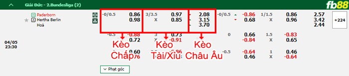 Fb88 bảng kèo trận đấu Paderborn vs Hertha Berlin
