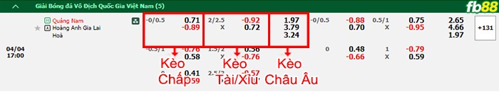 Fb88 bảng kèo trận đấu Quảng Nam vs HAGL