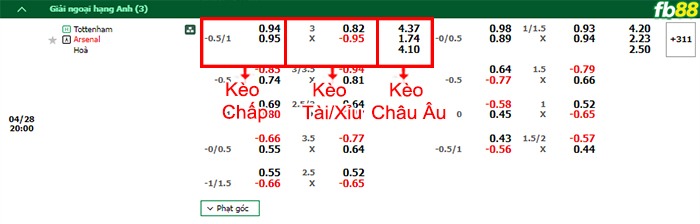 Fb88 bảng kèo trận đấu Tottenham vs Arsenal