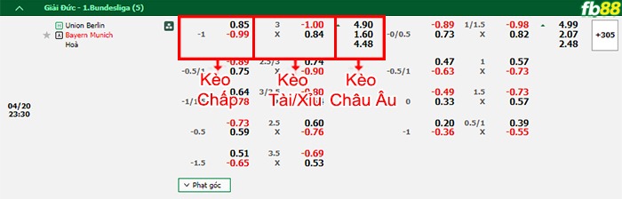 Fb88 bảng kèo trận đấu Union Berlin vs Bayern Munich