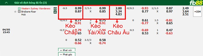 Fb88 bảng kèo trận đấu Western Sydney vs Brisbane Roar
