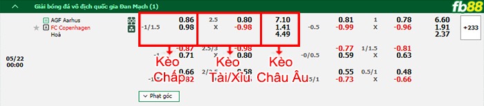 Fb88 bảng kèo trận đấu Aarhus vs FC Copenhague
