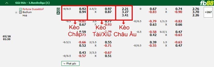 Fb88 bảng kèo trận đấu Dusseldorf vs Bochum