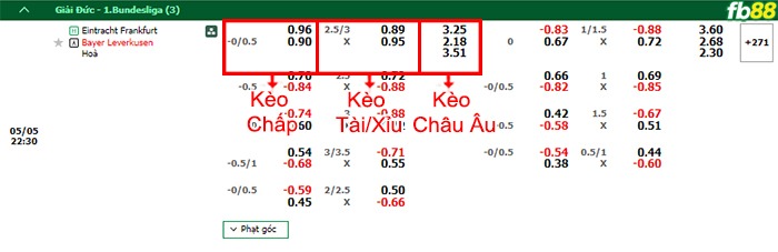 Fb88 bảng kèo trận đấu Eintracht Frankfurt vs Leverkusen