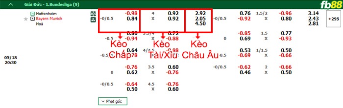 Fb88 bảng kèo trận đấu Hoffenheim vs Bayern Munich
