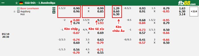 fb88-bảng kèo trận đấu Leverkusen vs Augsburg