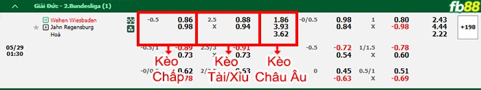Fb88 bảng kèo trận đấu Wehen vs Jahn Regensburg