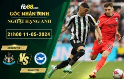 Fb88 soi kèo trận đấu Newcastle vs Brighton