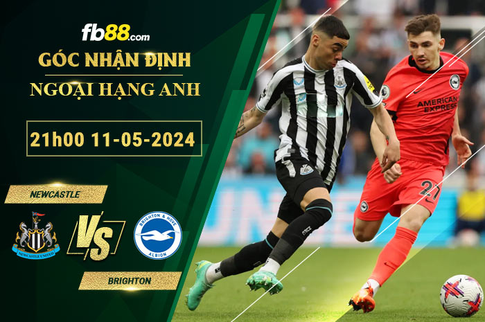 Fb88 soi kèo trận đấu Newcastle vs Brighton